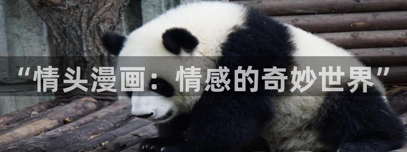 韩漫免费漫画美丽新世界