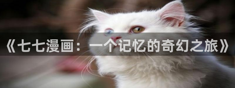 韩漫3d动漫免费在线观看