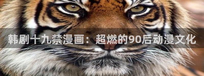 韩漫无遮挡漫画免费看：韩剧十九禁漫画：超燃的90后动漫文化