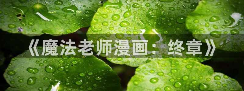 韩漫免费动漫大全：《魔法老师漫画：终章》
