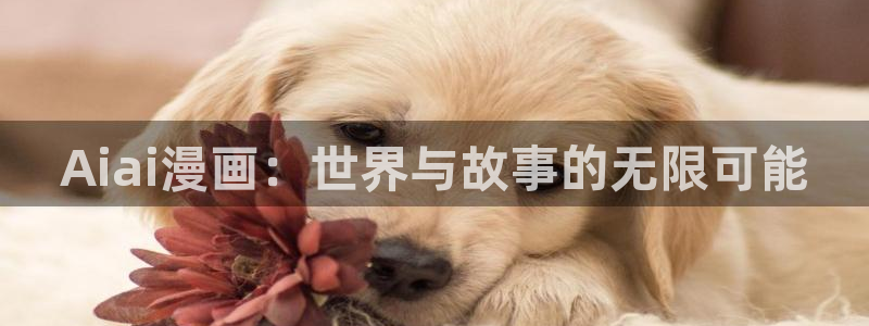 韩漫在线阅读漫画画免费读漫画双男主：Aiai漫画：世界与故事的无限可能