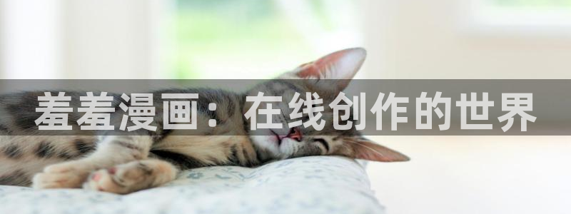 一耽女孩韩漫网页入口在线看：羞羞漫画：在线创作的世界