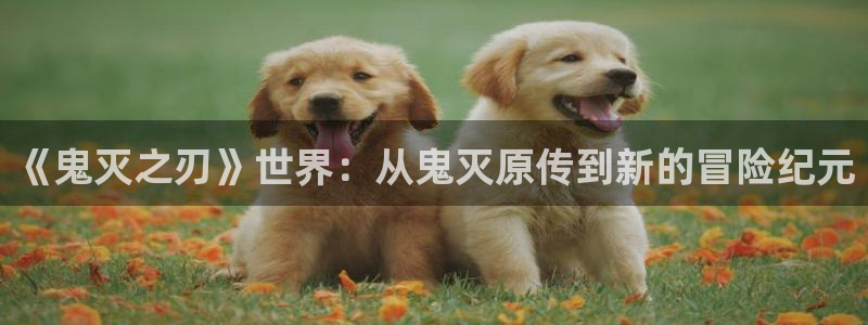 看韩漫免费的漫画软件