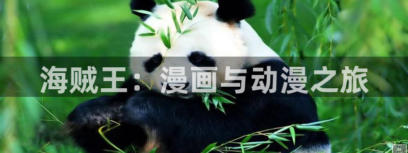 在哪里能看韩漫