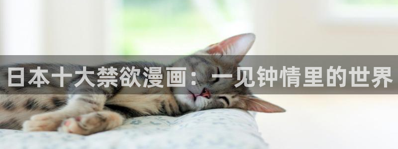 韩漫漫画视频