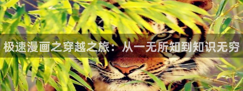 韩漫免费观看漫画的软件下载