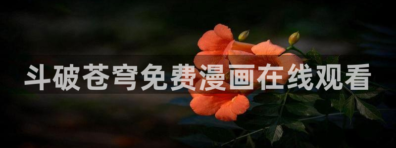 歪歪漫画入口在线观看韩漫
