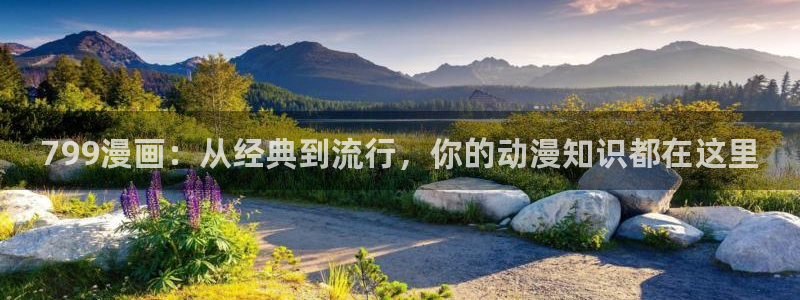 韩漫网站是什么