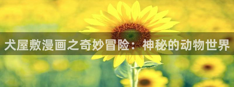 韩漫大全免费下拉式漫画