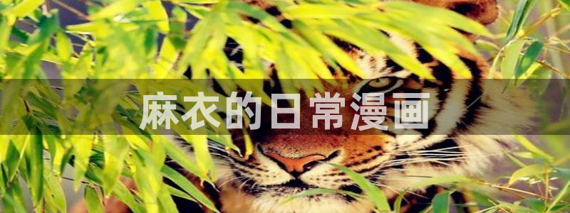 韩漫免费网站歪歪：麻衣的日常漫画