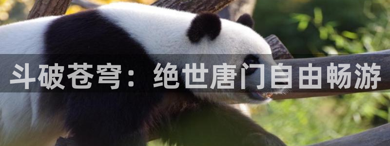 韩漫日漫在线：斗破苍穹：绝世唐门自由畅游