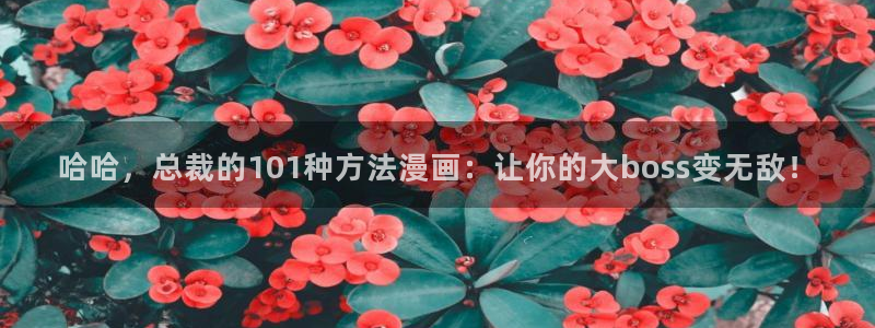 韩漫街漫画：哈哈，总裁的101种方法漫画：让你的大boss变无敌！